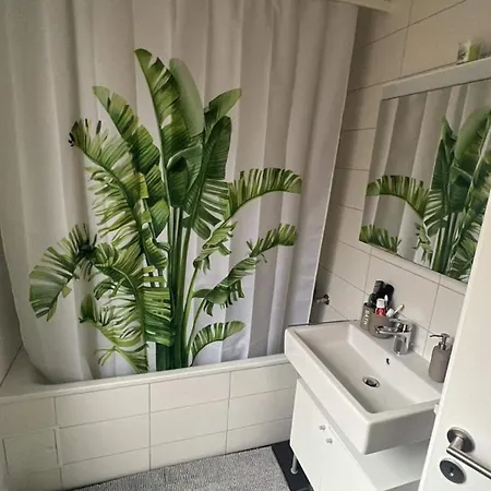 Apparement Au Centre De 4 Minutes De Appartement Vevey
